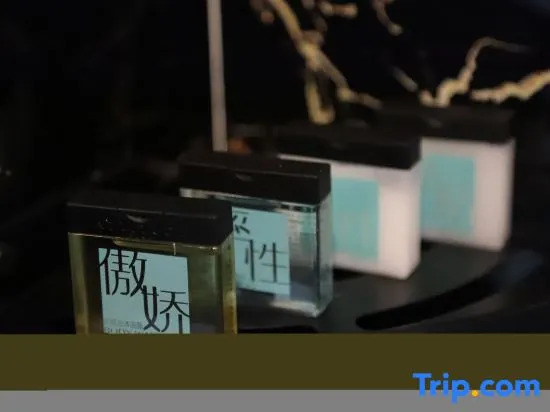 Xana Lite Hotel (Tianjin Ancient Cultural Street & Gulou Subway Station Branch)