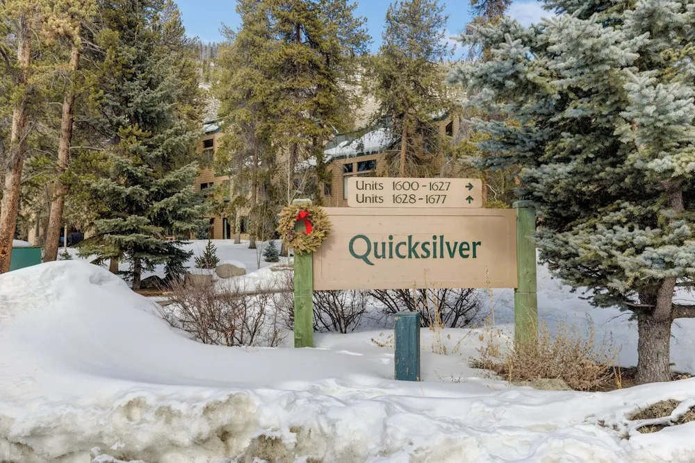 Quicksilver #1631