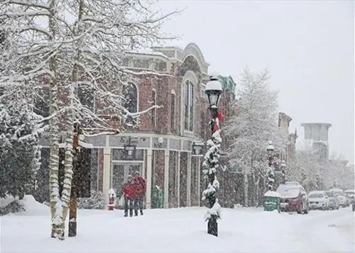 Winterpoint 41