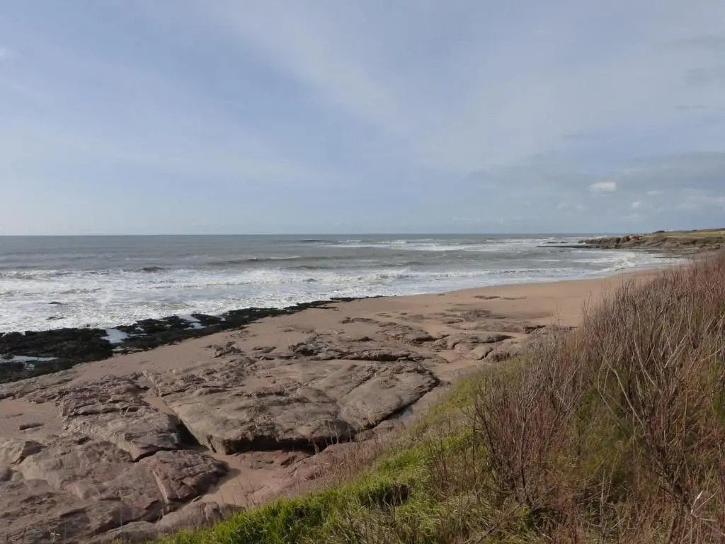 Maison Bretignolles-sur-Mer, 3 pièces, 6 personnes - FR-1-224A-383