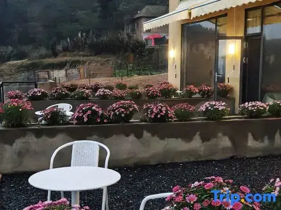 Rice Field Ideal | Blue Terraced Fields Panoramic View Homestay