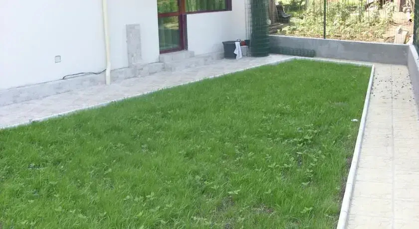 Stedy Guest House