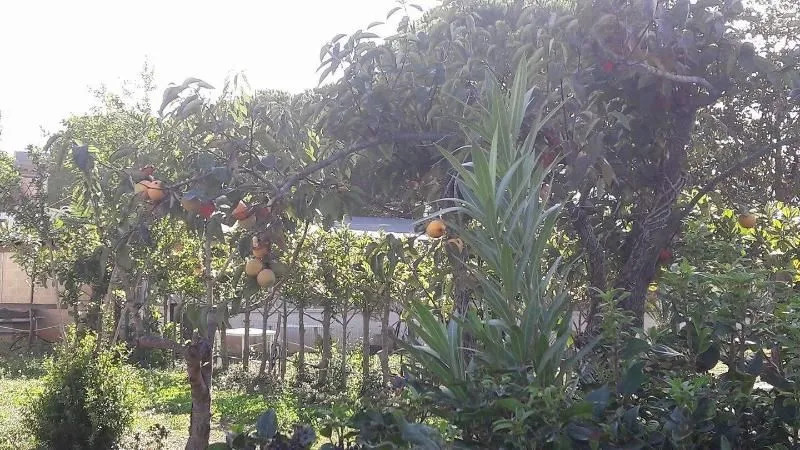 Agriturismo Beethoven