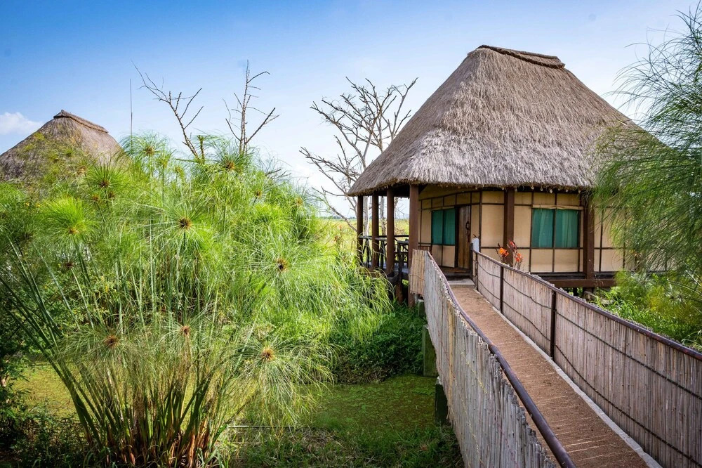 Little Okavango Camp Serengeti