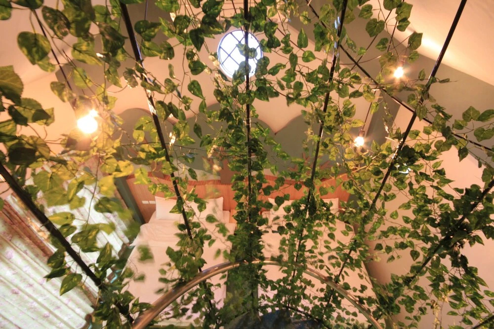 Citylife Jungle B&B