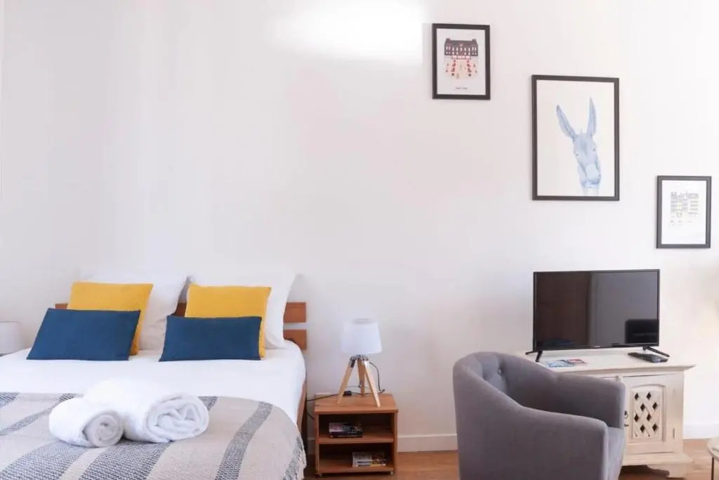 Le Saint-Etienne Studio Moderne Et Lumineux