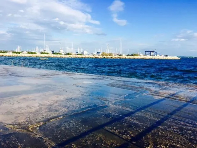 Apartment Umag Nelly