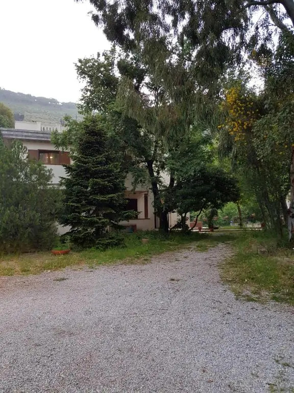 Holiday House