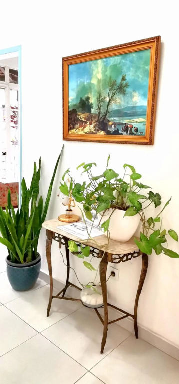 Home & Flower 2