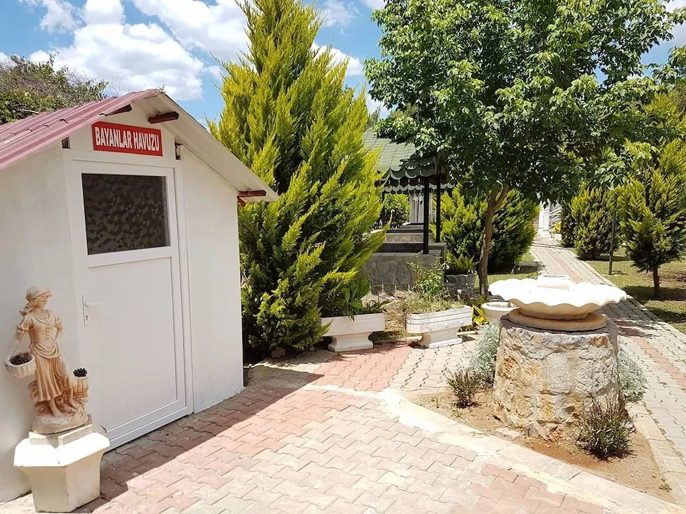 Silver Pine Hotel