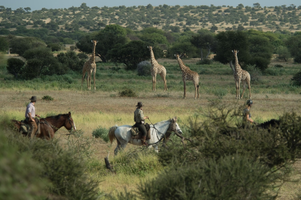 Shalimpo Safari Home - Mashatu Game Reserve