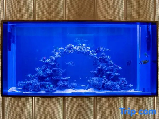 Qingdao Ethos Hotel