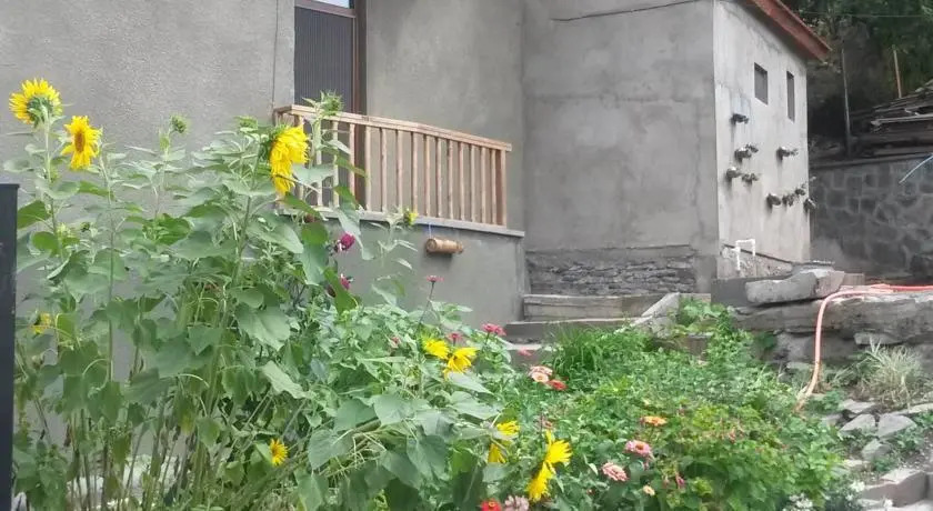 Villa "Borjomi"