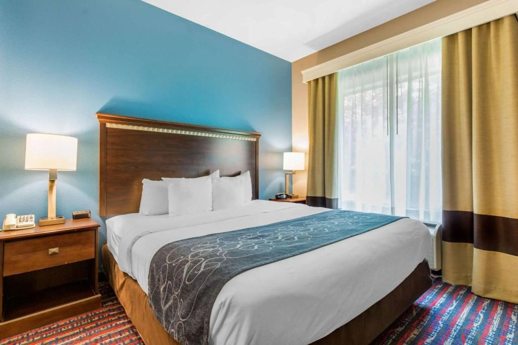 Comfort Suites Fairview Heights Saint Louis