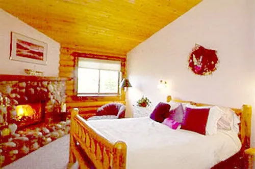 The Sassy Moose Inn