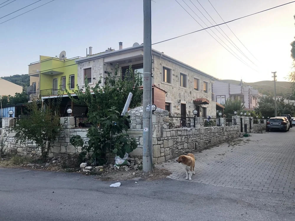 Tas Villa