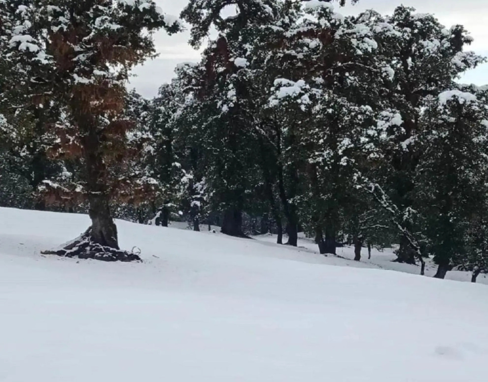 Camping at Deoriatal Adventure Camps