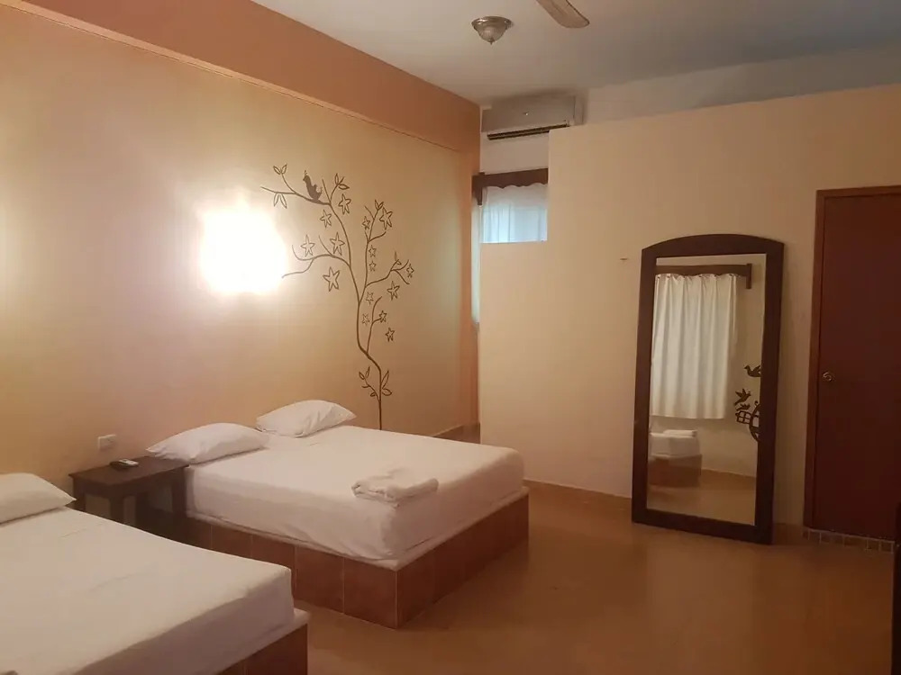Cedro Tulum