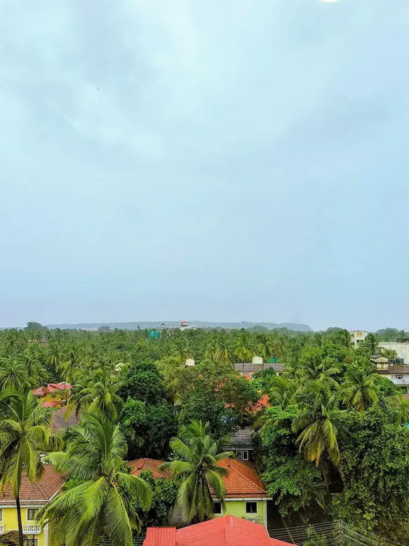 Ginger Goa Candolim