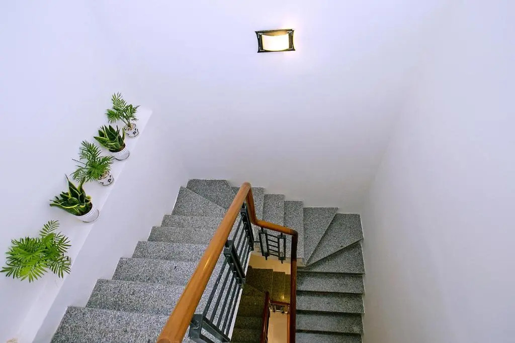 Focus Homestay