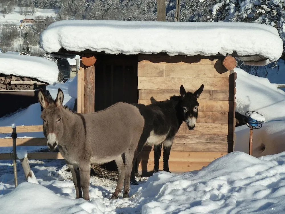 Le bois des Louison