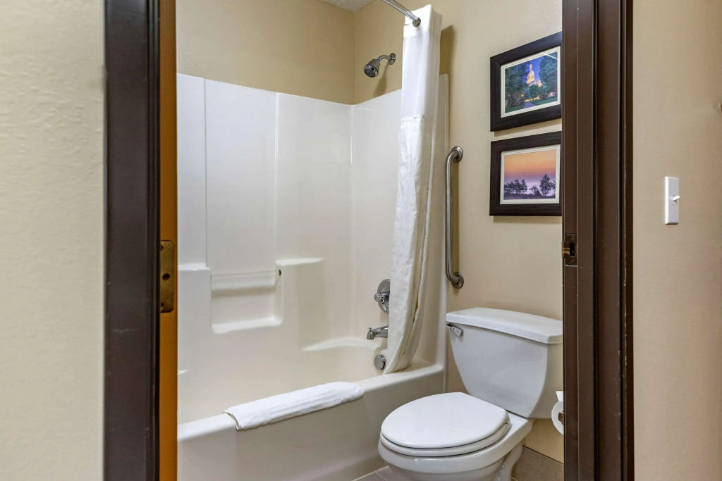 Comfort Inn & Suites Dimondale - Lansing