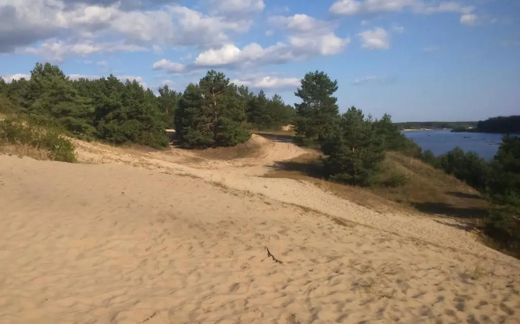 Парк отель Тихий Лес