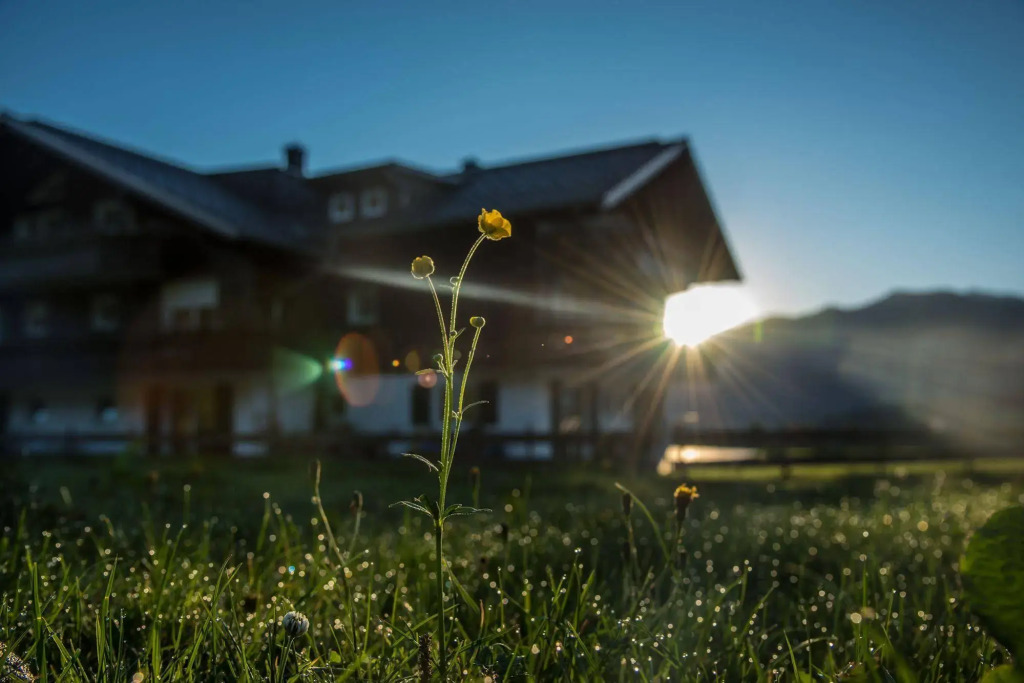 Alpenhaus Steiner - Top-Ferienwohnungen - Sommer-Bergbahn inklusive