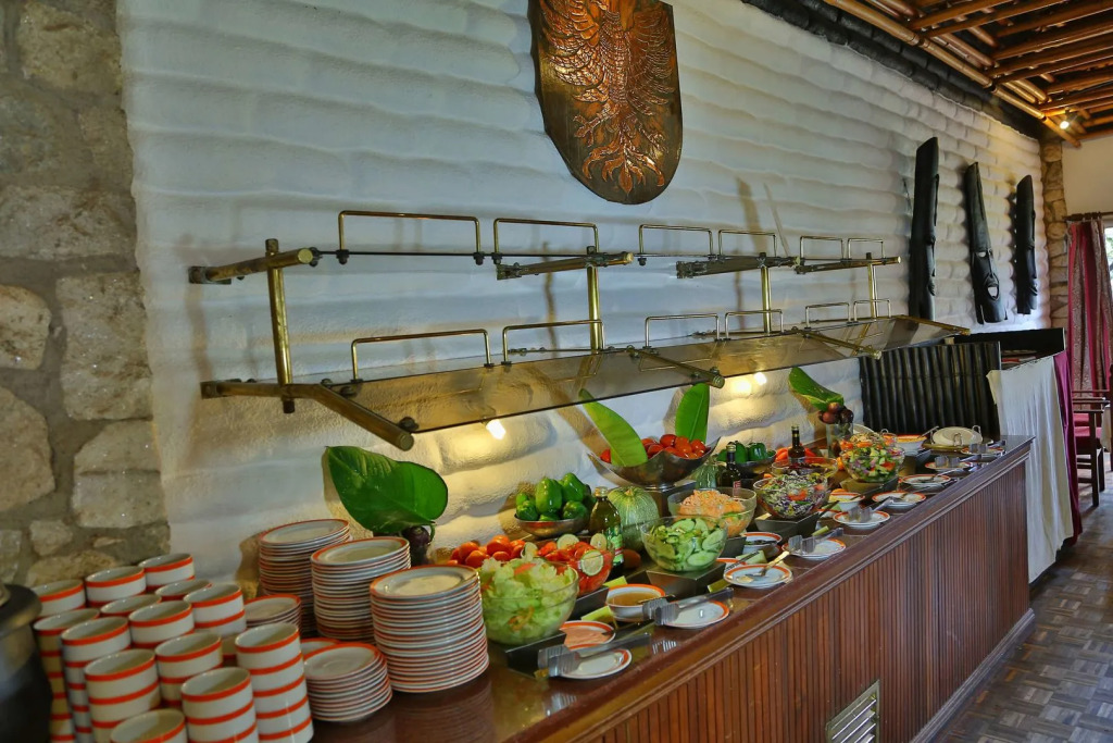 Salt Lick Safari Lodge
