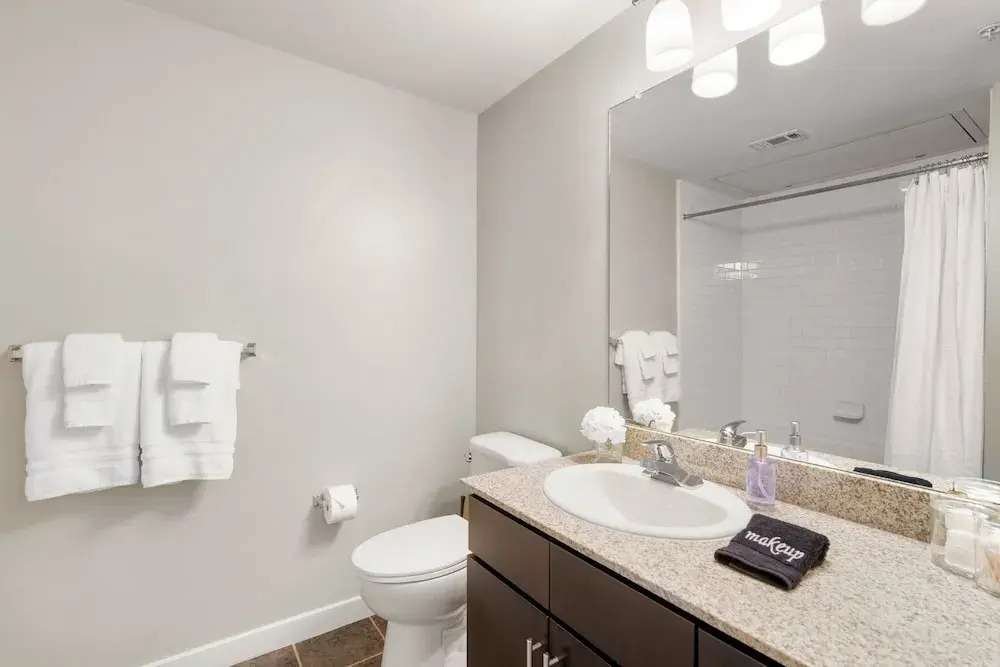 Dallas Beautiful 1BD 1BA Downtown Apartment