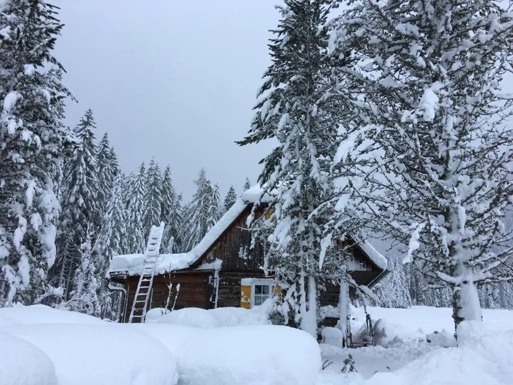 Almhütte