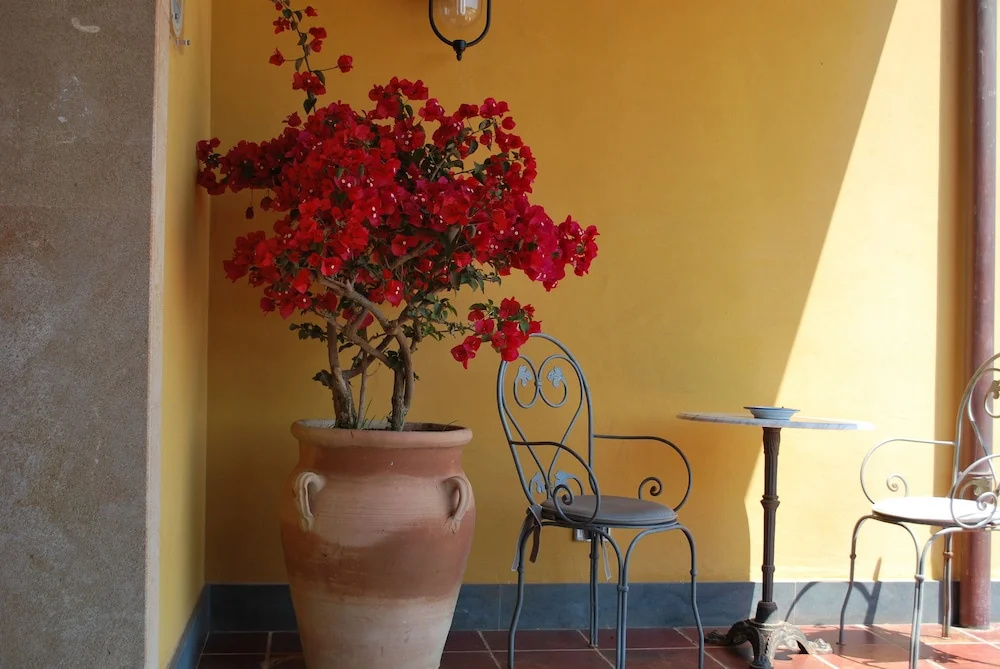 La Rosa dei Venti