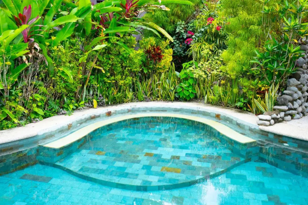 Casitas Del Rio Riverfront Nature Lodge