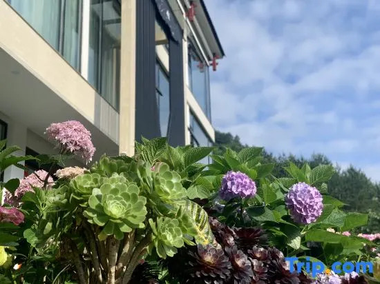 Huaxu Yimeng B&B (Zhangjiajie National Forest Park Branch)