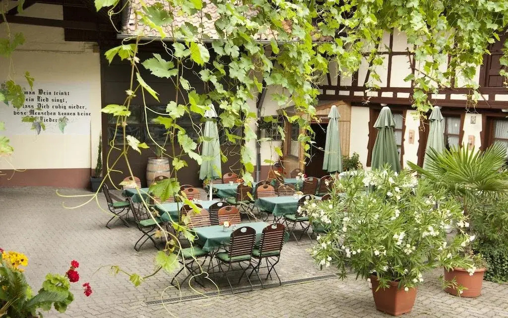 Weingut und Gästehaus Vongerichten