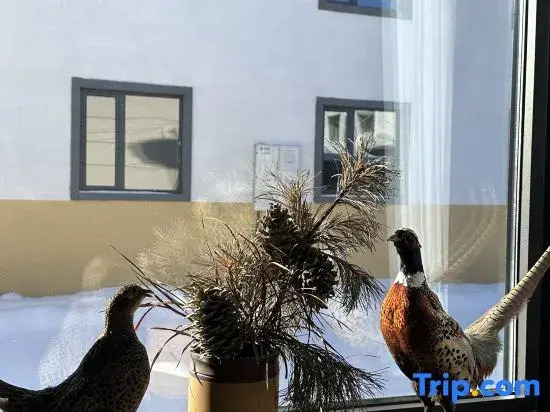 Courtyard in Xuexiang · Charming · Luxury Wilderness Snow View Holiday Homestay (Erlanghe Branch