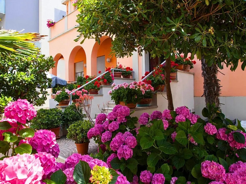 Amadei Hotel Blumen