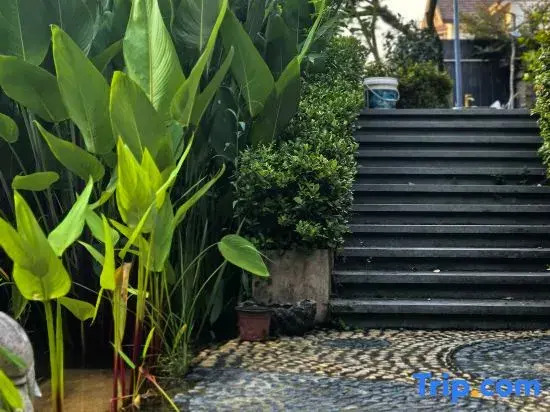Yangxinggu Guesthouse