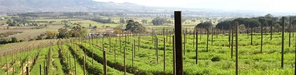 Druk My Niet Wine Estate