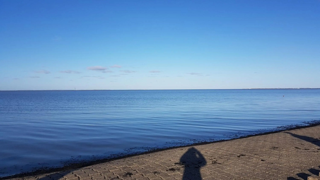 Ebbe