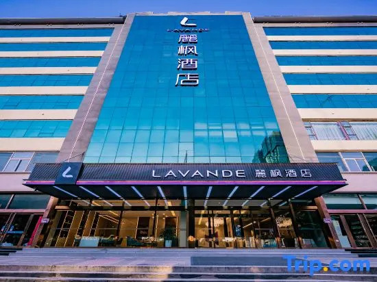 Lavande Hotel(Double Pagoda Temple North Qi Mural Museum shop)