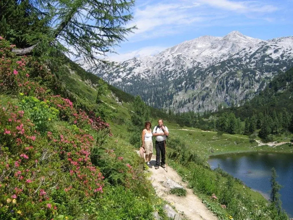 Bauernhof Haim-Schnepfleitner