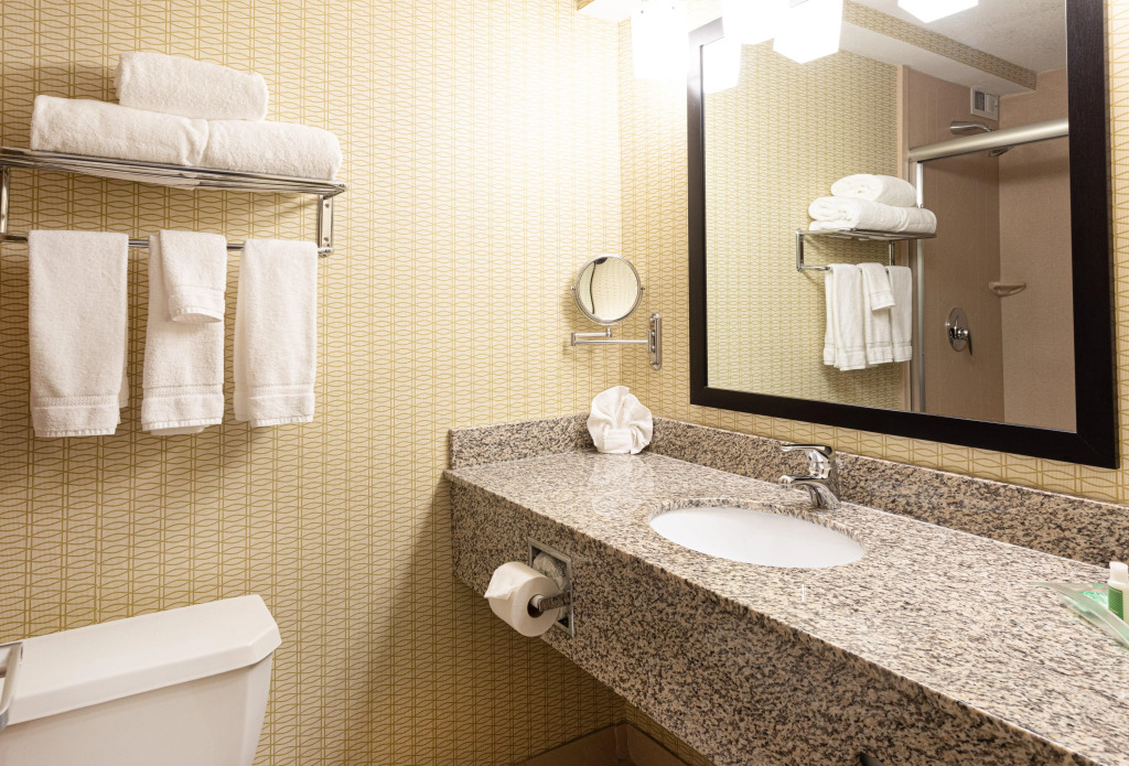 Holiday Inn St. Louis Airport West Earth City by IHG