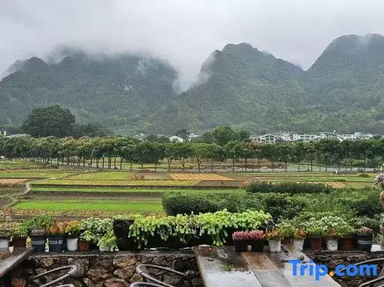 Yanshe wanglan Homestay