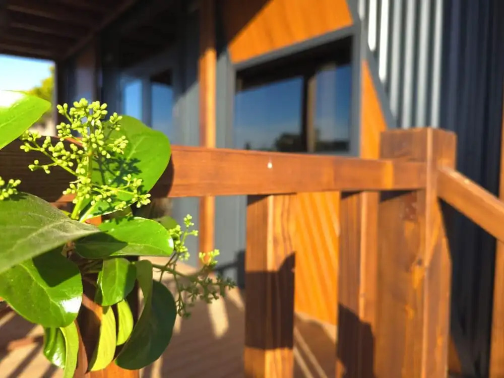 Tiny House Yalikavak "natural Garden"
