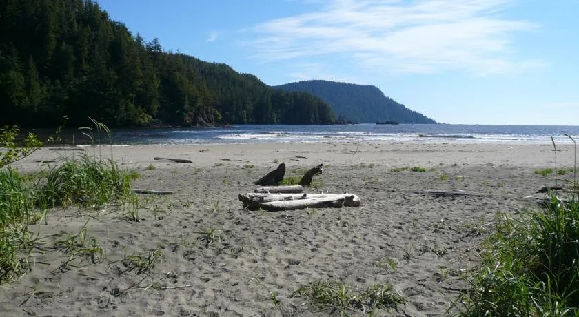 Orca House Bed and Breakfast