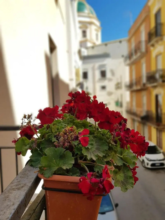 La Trinacria Rooms
