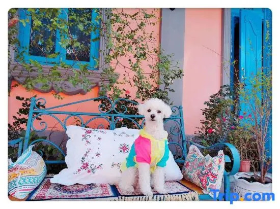 Wenshan·tingxi Homestay