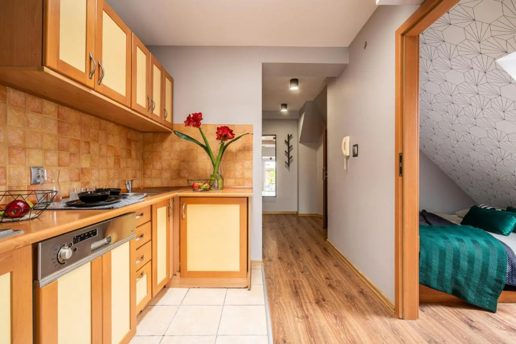 Absynt Hostel Wrocław