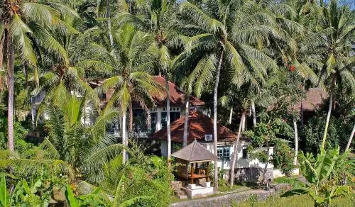 Artistic B&B Bungalow